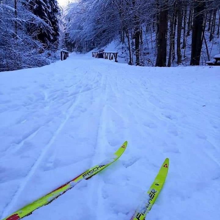 Villa Nebina Ratece Bagian luar foto