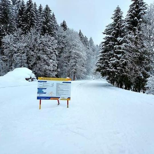 Villa Nebina Ratece Bagian luar foto